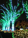 061213_213933_M.jpg