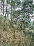 070208_125032.jpg