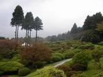 090425-thumbnail2.jpg
