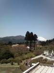 200904221147000.jpg