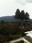庭園(秋).jpg