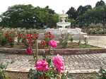 CIMG0004.JPG