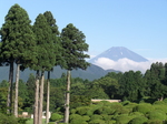 CIMG0061.JPG