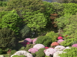 CIMG0090.JPG