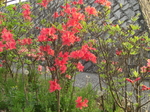 CIMG0091.JPG