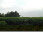 CIMG0097.JPG
